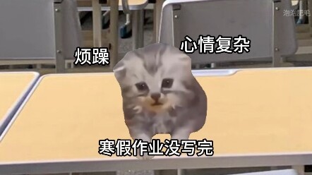 นักเรียนมัธยมปลายไม่น่าจะหาวิดีโอนี้ไม่เจอหรอกนะ