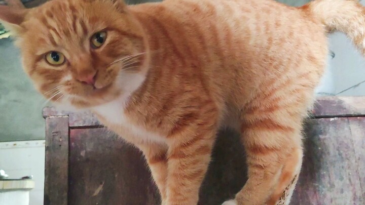 Winter’s here—how far is weight gain from you?