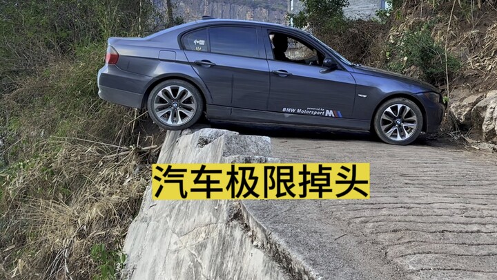 The Ultimate U-Turn Masters Are Out There in the Wild!