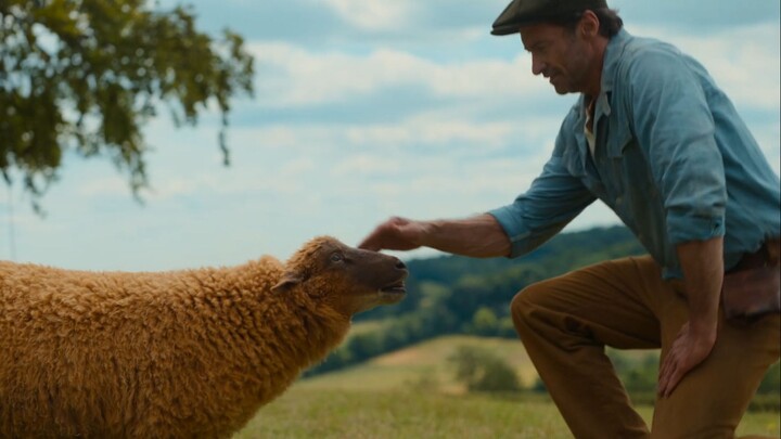 The Sheep Detectives