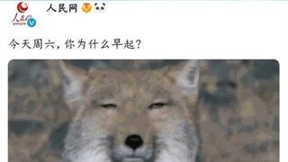 今天周六，你为什么早起？