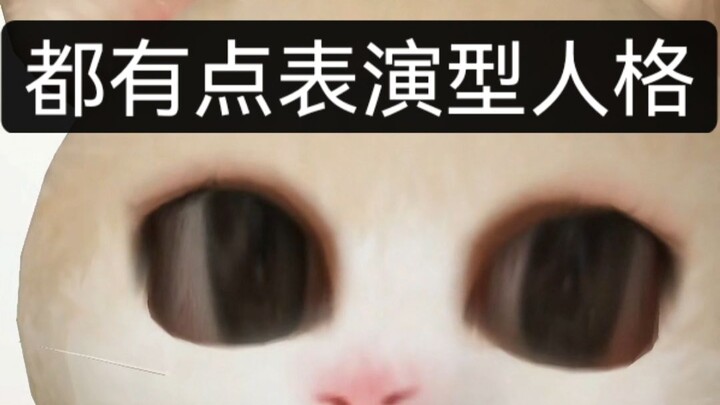 Zhao Lusi, what exactly are you trying to do?
