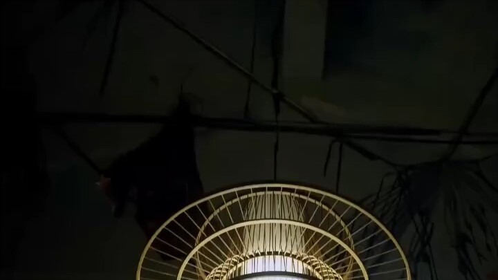 ภารกิจหาแฟนตอนอายุพันปี