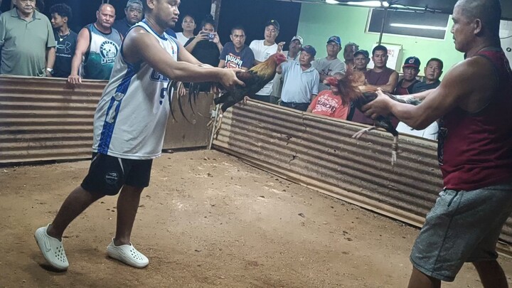 madiin pumalo manok ni buang