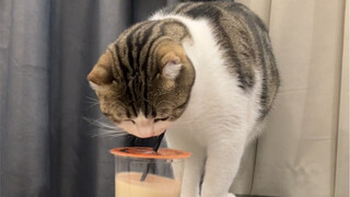 I'm really hungry and can eat anything.