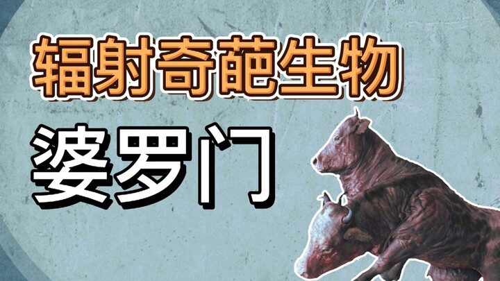 كائن متحوّل برأسين، يمتلك ثمانية حجرات في المعدة وأربعة خصيتين