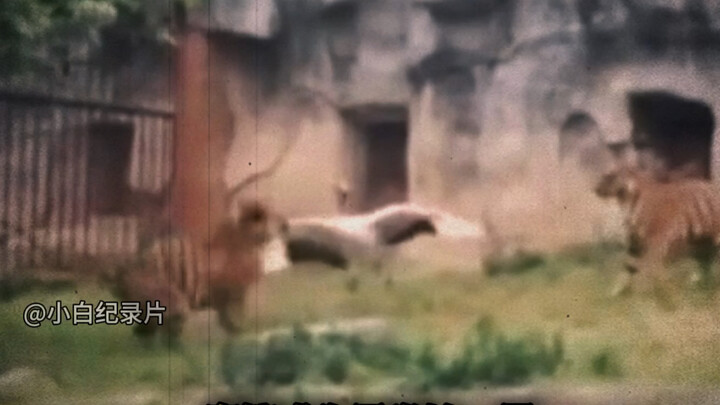 هذا هو الضرب بتقليل الأبعاد!