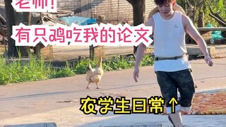 Whose chicken ate my graduation thesis?