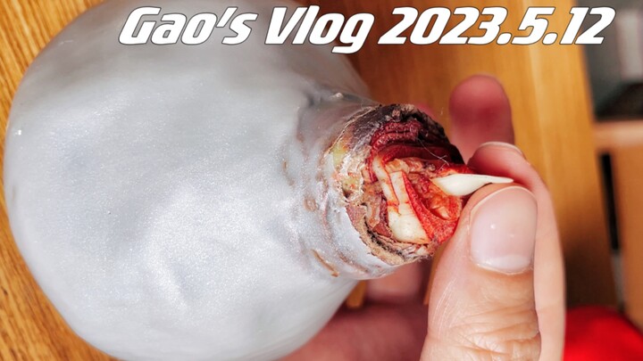 Don't you think we can't raise another Tu Zhu this time?!