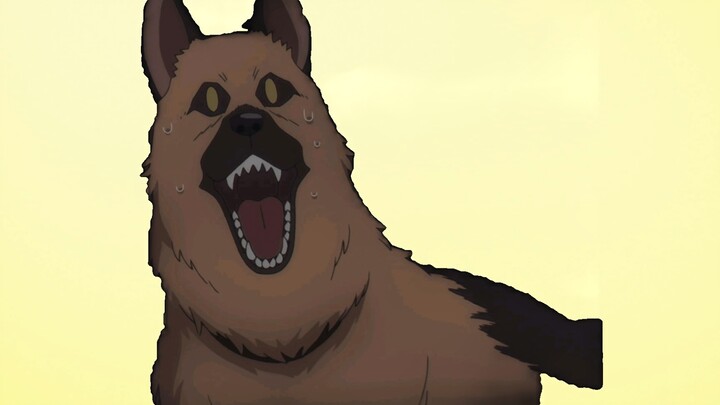 การเตะของ Joel ทำให้สุนัขตกใจเป็นเวลา 1,000 ปี