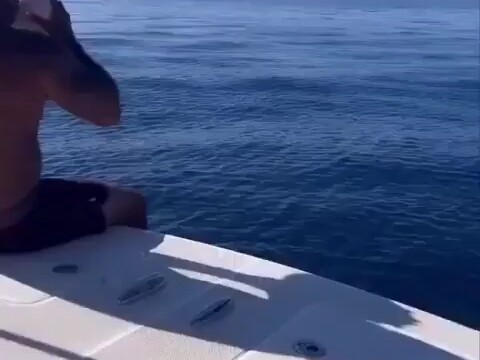 In Hawaii, a man blew a conch shell and received an unforgettable response!