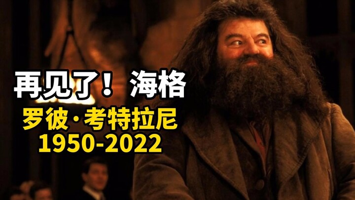 再见了！海格！霍格沃兹最好的看守员