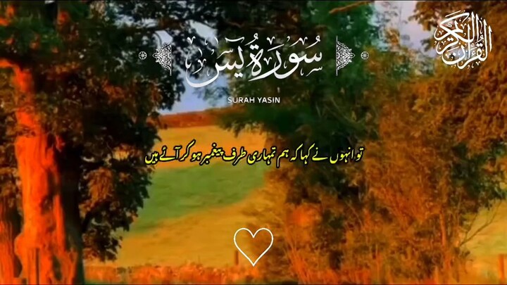 Surah Yasin Full Urdu Translation 🥰And Beautiful Quran Recitation ❤️ plz plz Plz 500k views