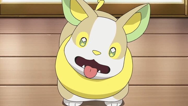 Cute dog repairman calling woof woof woof~~~~