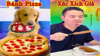 Thú Cưng TV | Tứ Mao Đại Náo #29 | Chó Golden Gâu Đần thông minh vui nhộn | Pets cute smart dog