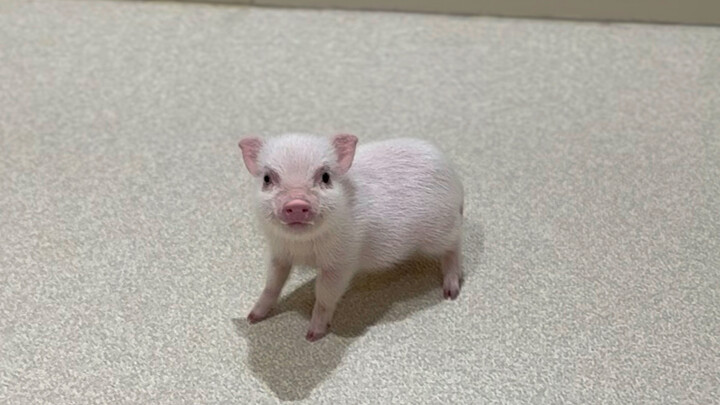 หนูหิวแล้ว!!!