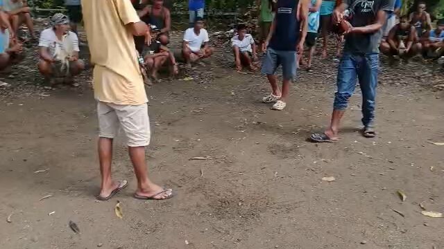 (Win) Limbuyugin 6months old 2x winner na