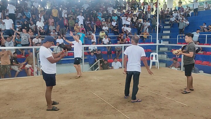 Pula vs bulik
