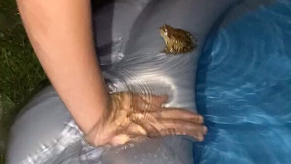 Frog: Thanks, but I’m not done swimming yet!