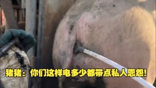 จูจู: พวกคุณชาร์จไฟแบบนี้มีเรื่องส่วนตัวปนอยู่ด้วยแน่ๆ!