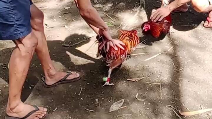 #documentation 2023# November #warrior