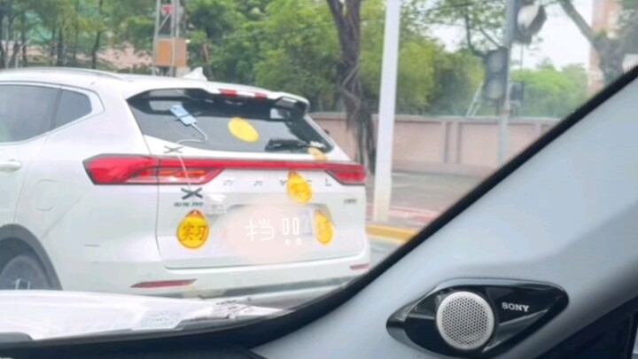 Ai giải thích giúp với, có ai biết cái này nghĩa là gì không?