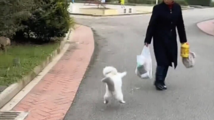 Cat: "I'm right here! Stop right there and leave the snacks in your pocket!"