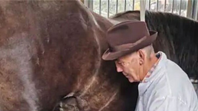 Why horse body fluids are the most expensive fluids on earth, with about 80 milliliters worth $100,0