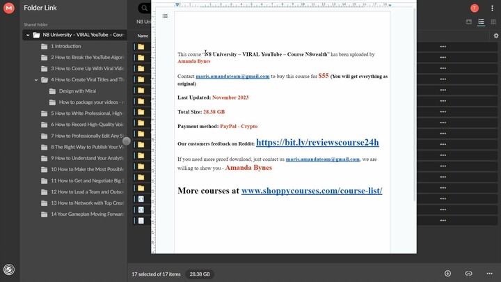 N8 University – VIRAL YouTube – Course N8wealth