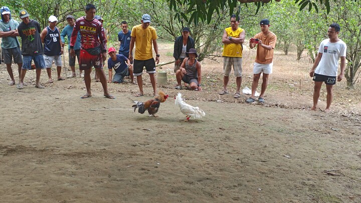 nice whiety slamat sa magndang laban