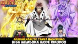 Apakah Naruto Tanpa Hagoromo Bisa Membuka Mode Rikudou