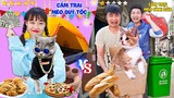 Hà Sam Cắm Trại Mèo Quý Tộc Với Cắm Trại Mèo Bình Dân - Mèo Nào Sướng Hơn ?