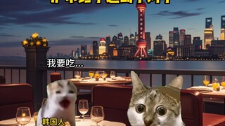 当沪币遇上韩国人
