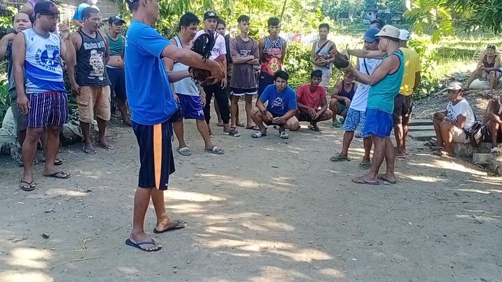 mataas malaki kalaban