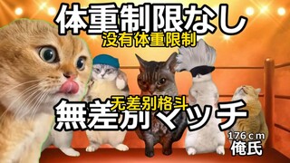 【熟/猫meme】第一次打拳就遭遇无差别格斗