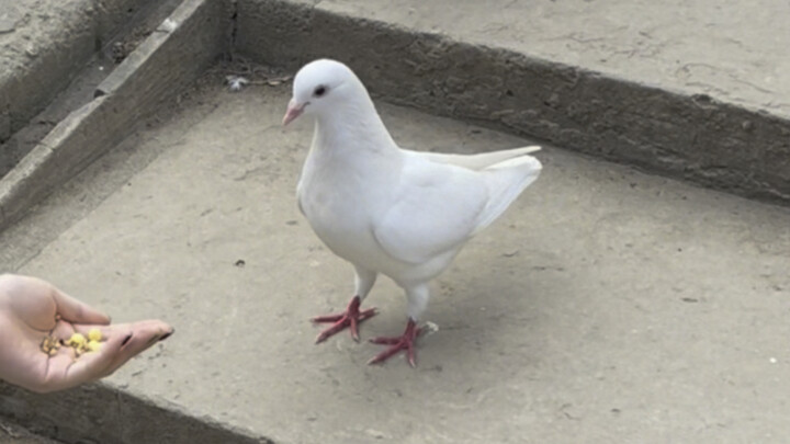 «الحياة المليئة بالشكاوى والعِتاب بعد العودة إلى الوطن» 17.0