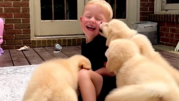 หมาเมาแล้ว~ ไม่มีใครปฏิเสธฝูงเจ้าตูบได้ 🐶