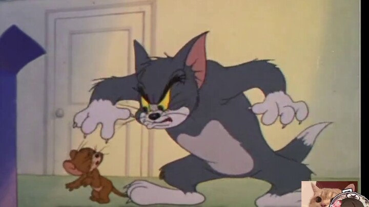 [ตลก] ใช้ Tom and Jerry บ่นถึงประสบการณ์การเล่นเกมขององเมียวจิในช่วงครึ่งหลังของปี 2019...