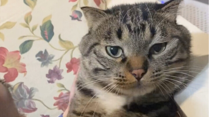 เมื่อฉันเสียงแหบ หนวี่: ไม่มีความปรารถนาทางโลกแบบนั้นอีกแล้ว