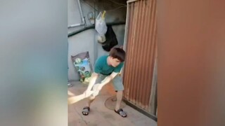 Ở đây chúng t có meme. Chúng m có k #meme