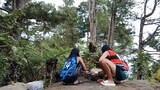in the wild Forest 😅