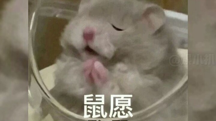 [Read and Delete] Here’s a Method to Earn at Least a Million a Month!