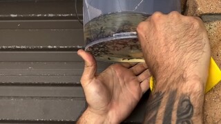 如何正确的抓蜜蜂……