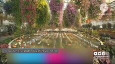 เที่ยวรอบโลก Checklist พาไปเช็คลิสต์ที่มิเอะ ประเทศญี่ปุ่น วันพุธที่ 19 พ.ย. เวลา 16.30 น.