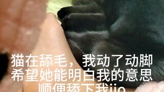 让你舔一下jio就咬我