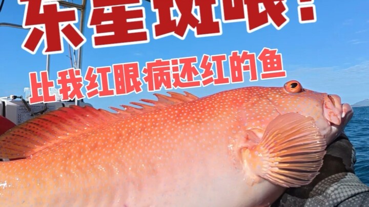 Chúng ta đang câu cá ở cùng một vùng biển phải không?