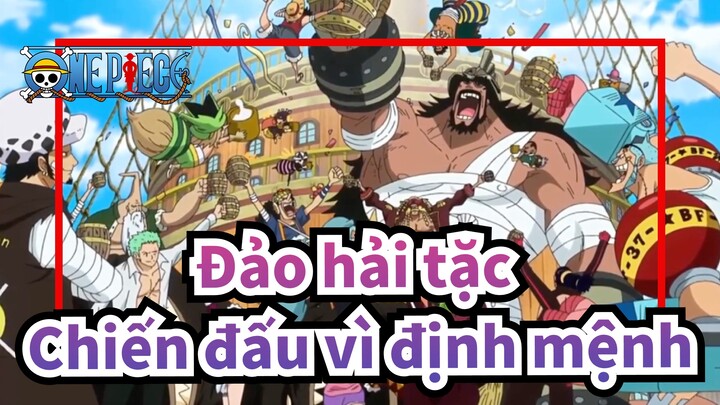 [Đảo hải tặc] VS Doflamingo--- Chiến đấu vì định mệnh