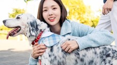 "Mỗi lần đi ngang qua ai đó, bạn đều giả vờ bình thường, nhưng thực ra bạn đã làm rối loạn tần số nh