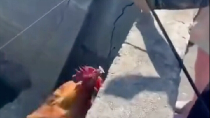 这就是钓鱼佬吗！