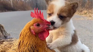Chỉ vì tình yêu của tôi vượt qua ranh giới chủng tộc.